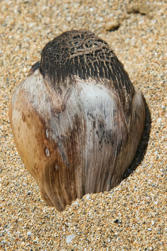 080 plage de la perle.jpg