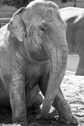ZOO-22.jpg