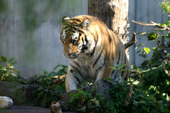 IMG_1748.JPG