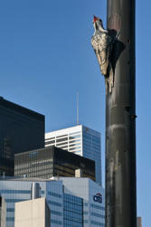 183 Toronto.jpg